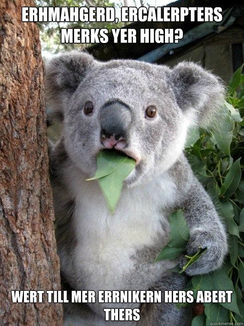 ERHMAHGERD, ERCALERPTERS MERKS YER HIGH? WERT TILL MER ERRNIKERN HERS ABERT THERS
 - ERHMAHGERD, ERCALERPTERS MERKS YER HIGH? WERT TILL MER ERRNIKERN HERS ABERT THERS
  Stoned Koala