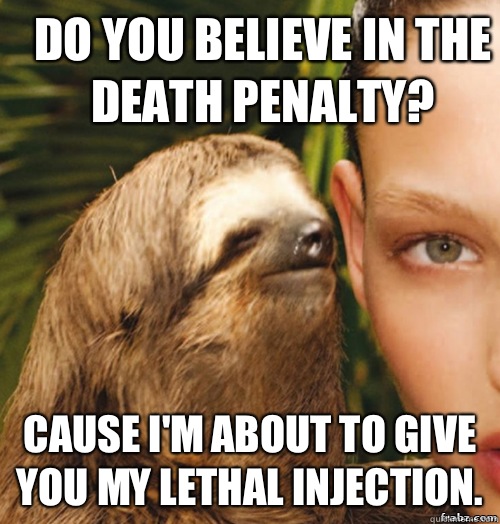 Do you believe in the death penalty? Cause I'm about to give you my lethal injection.  rape sloth