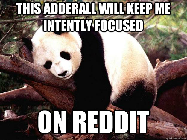 THIS ADDERALL WILL KEEP ME INTENTLY FOCUSED ON REDDIT  Procrastination Panda