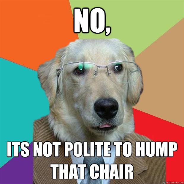 no, its not polite to hump that chair  Business Dog