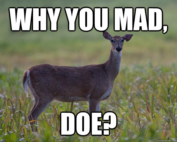 Why you mad, doe? - Why you mad, doe?  Why you mad doe