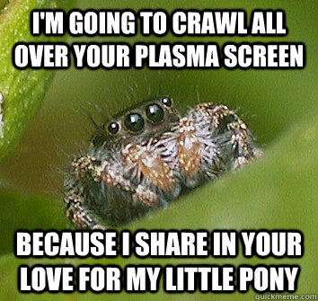 I'm going to crawl all over your plasma screen Because i share in your love for my little pony  Misunderstood Spider