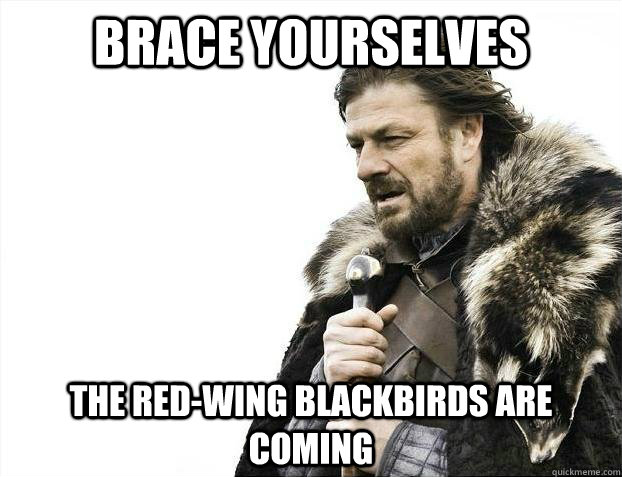 Brace yourselves the red-wing blackbirds are coming  - Brace yourselves the red-wing blackbirds are coming   Misc