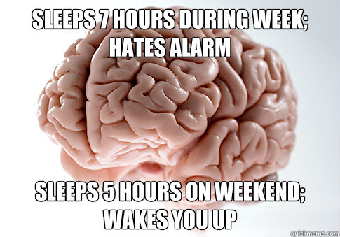 Sleeps 7 hours during week; hates alarm sleeps 5 hours on weekend; wakes you up  Scumbag Brain