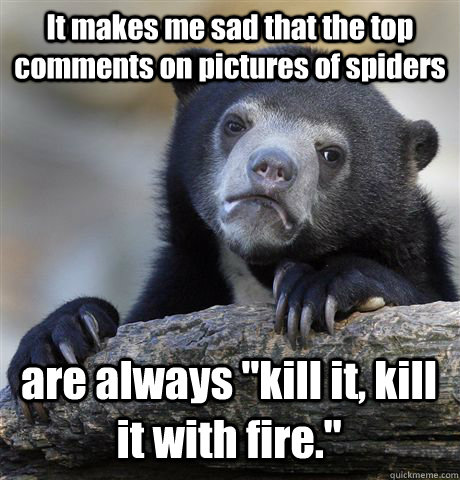 It makes me sad that the top comments on pictures of spiders are always 