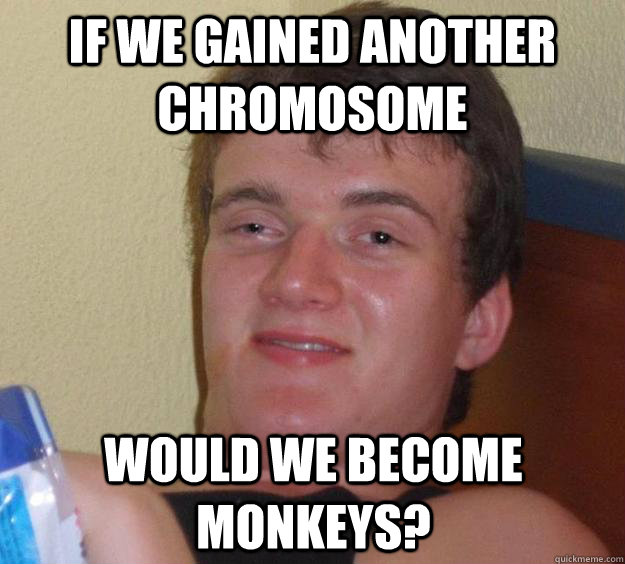 If we gained another chromosome would we become monkeys?  10 Guy