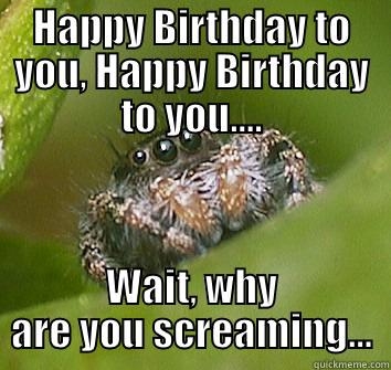 HAPPY BIRTHDAY TO YOU, HAPPY BIRTHDAY TO YOU.... WAIT, WHY ARE YOU SCREAMING... Misunderstood Spider