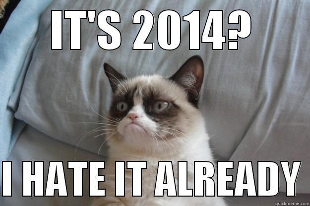 IT'S 2014?  I HATE IT ALREADY Grumpy Cat