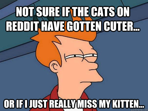 Not sure if the cats on Reddit have gotten cuter... Or if I just really miss my kitten...  Futurama Fry