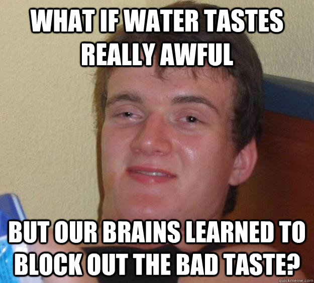 what if water tastes really awful but our brains learned to block out the bad taste?  10 Guy