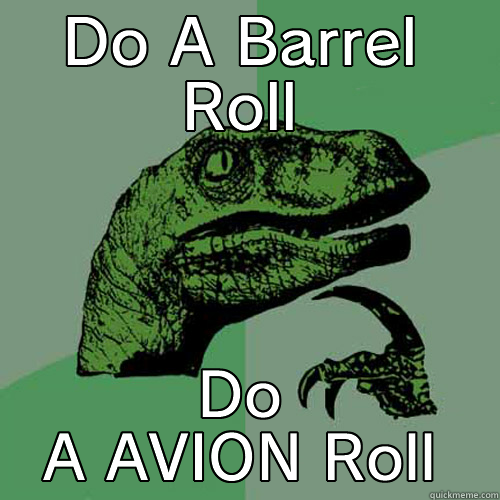 DO A BARREL ROLL DO A AVION ROLL Philosoraptor