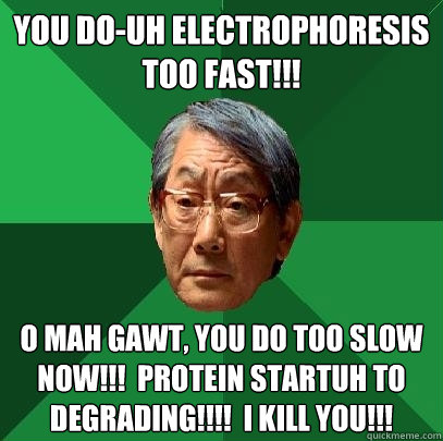 YOU DO-uh ELECTROPHORESIS TOO FAST!!! O MAH GAWT, YOU DO TOO SLOW NOW!!!  PROTEIN STARTUH TO DEGRADING!!!!  I KILL YOU!!!  High Expectations Asian Father