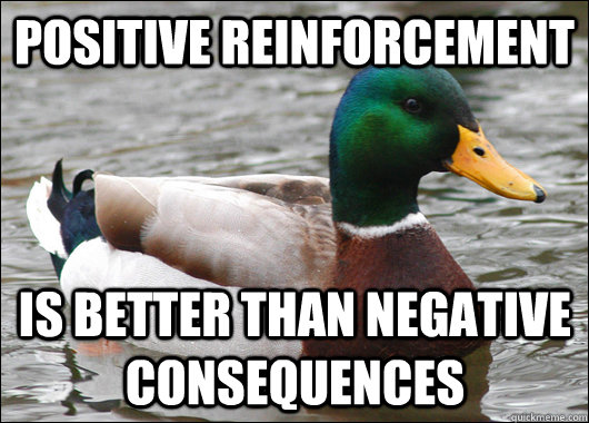 Positive reinforcement is better than negative consequences - Positive reinforcement is better than negative consequences  Actual Advice Mallard