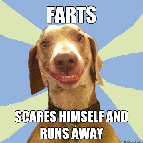 Farts Scares himself and runs away  Disgusting Doggy