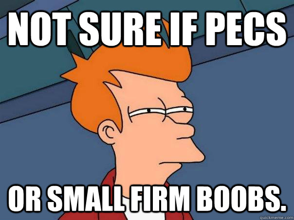 Not sure if pecs Or small firm boobs.  Futurama Fry