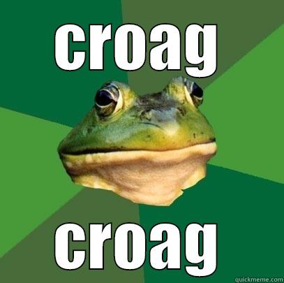 CROAG CROAG Foul Bachelor Frog