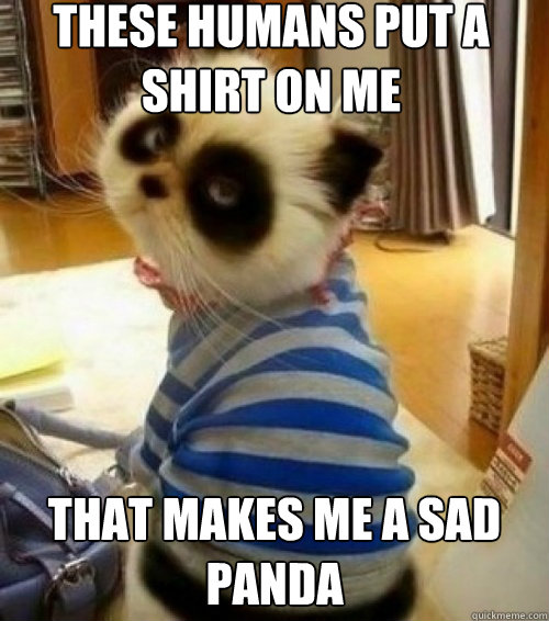 these humans put a shirt on me  that makes me a sad panda   Sad Panda Cat