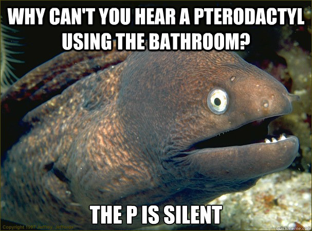 why can't you hear a pterodactyl using the bathroom? the p is silent  Bad Joke Eel