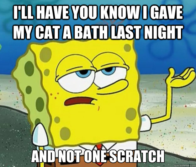 I'll have you know i gave my cat a bath last night and not one scratch  Tough Spongebob