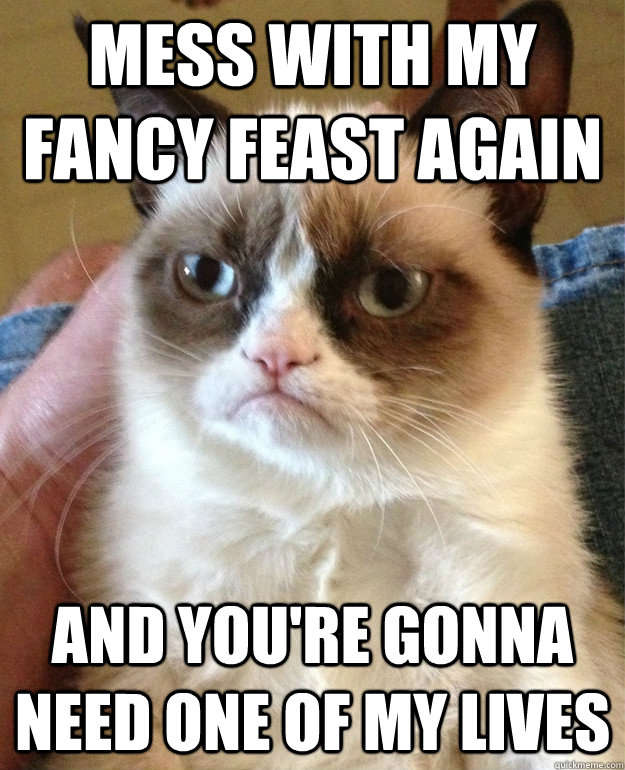 Mess with my Fancy Feast again And you're gonna need one of my lives  Grumpy Cat