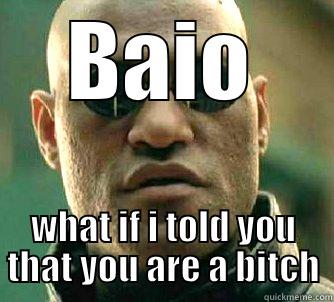 BAIO WHAT IF I TOLD YOU THAT YOU ARE A BITCH Matrix Morpheus