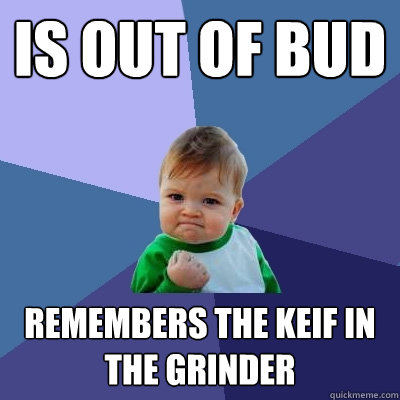 Is out of bud Remembers the keif in the grinder  Success Kid
