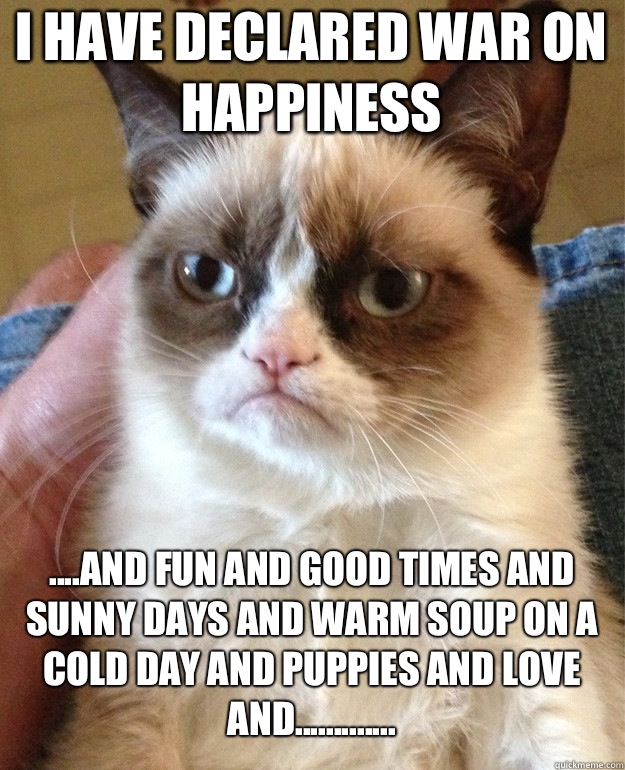 I have declared war on happiness  ....and fun and good times and sunny days and warm soup on a cold day and puppies and love and.............  Grumpy Cat