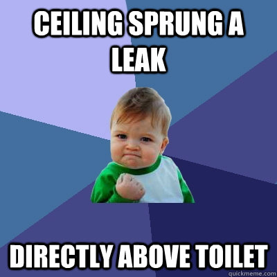 Ceiling sprung a leak directly above toilet  Success Kid