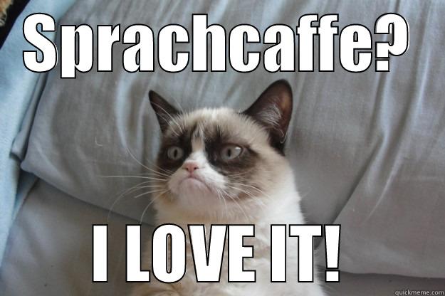 SPRACHCAFFE? I LOVE IT! Grumpy Cat