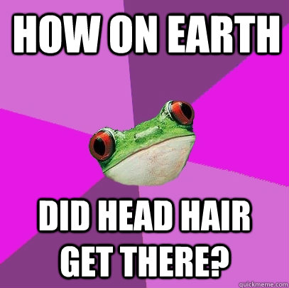 How on earth did head hair get there?  Foul Bachelorette Frog