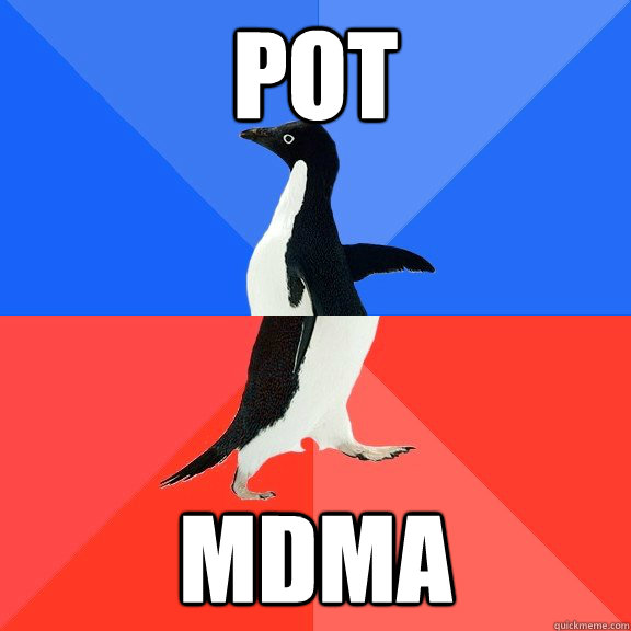 pot mdma  Socially Awkward Awesome Penguin