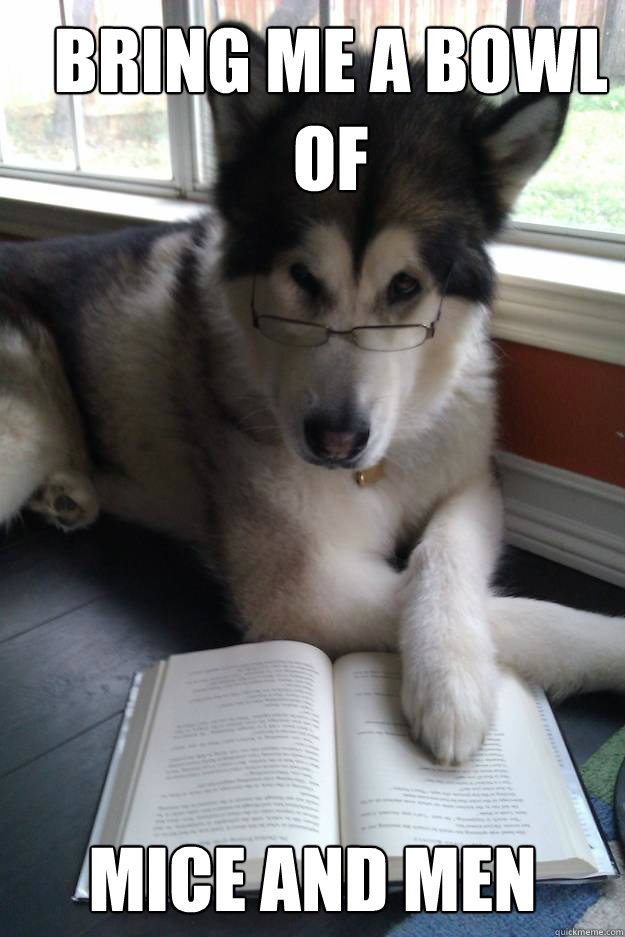 Bring me a bowl of  Mice and Men - Bring me a bowl of  Mice and Men  Condescending Literary Pun Dog