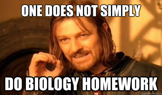 One Does Not Simply do biology homework  Boromir