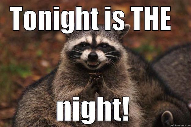 TONIGHT IS THE  NIGHT! Evil Plotting Raccoon