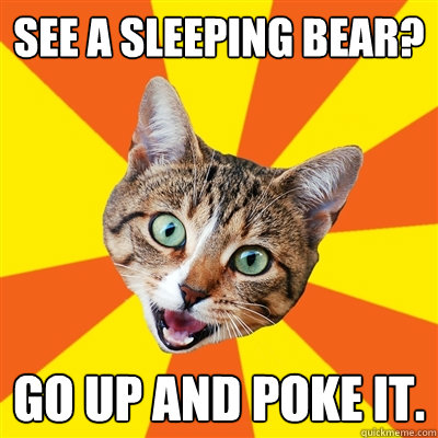 See a sleeping bear? Go up and poke it.  Bad Advice Cat