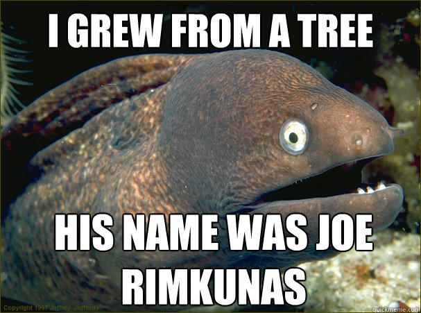 I grew from a tree His name was Joe Rimkunas - I grew from a tree His name was Joe Rimkunas  Bad Joke Eel