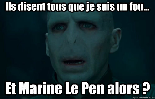 Ils disent tous que je suis un fou... Et Marine Le Pen alors ?  