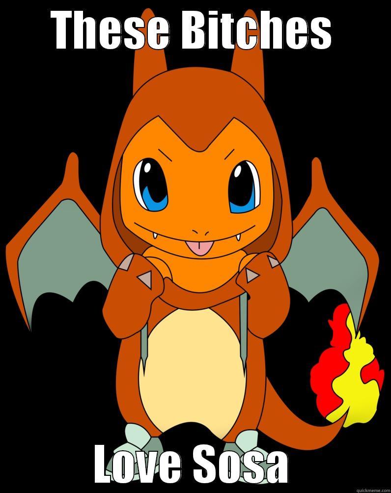 Charmander Sosa - THESE BITCHES LOVE SOSA Misc