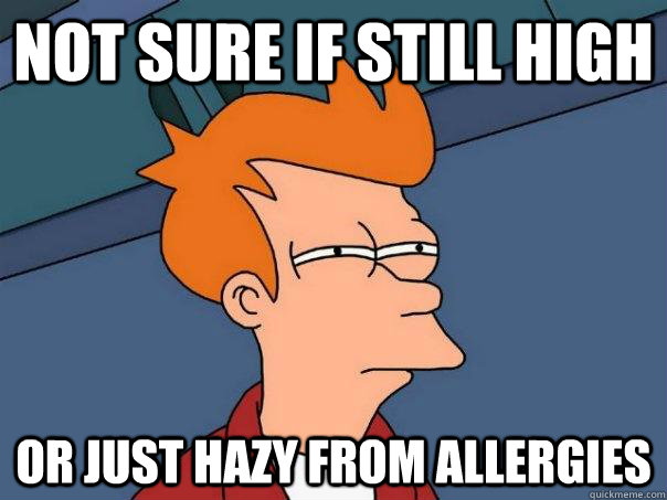 not sure if still high or just hazy from allergies  Futurama Fry