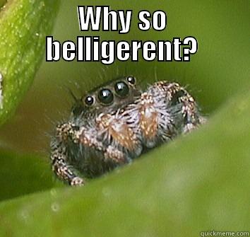 WHY SO BELLIGERENT?  Misunderstood Spider