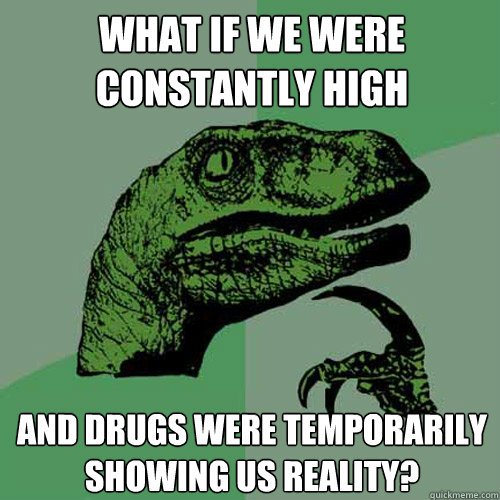 what if we were constantly high and drugs were temporarily showing us reality? - what if we were constantly high and drugs were temporarily showing us reality?  Philosoraptor