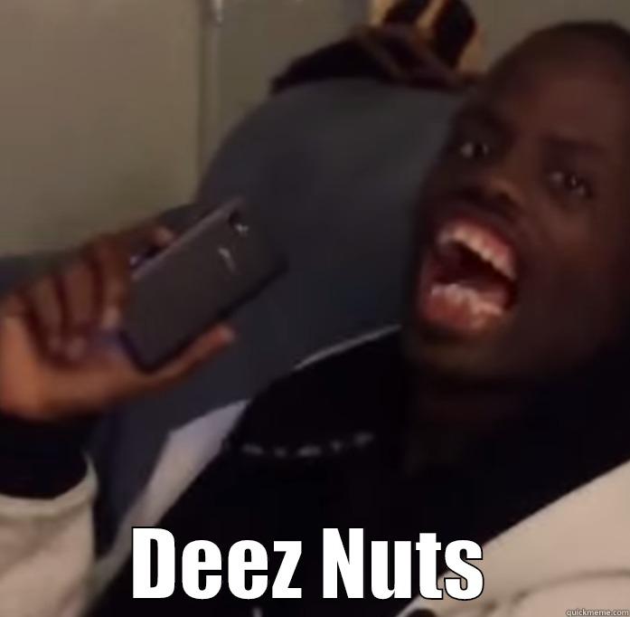 DEEZ NUTZZZZ -  DEEZ NUTS Misc