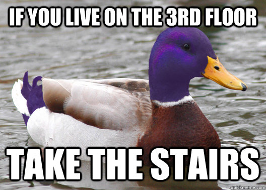 If you live on the 3rd floor take the stairs - If you live on the 3rd floor take the stairs  NYU Advice Mallard