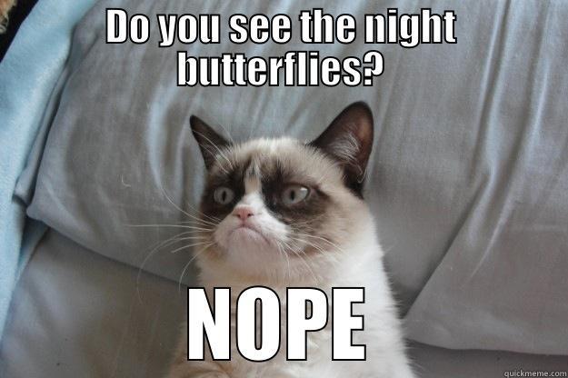 DO YOU SEE THE NIGHT BUTTERFLIES? NOPE Grumpy Cat