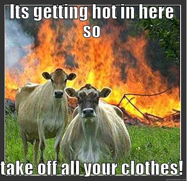 ITS GETTING HOT IN HERE SO  TAKE OFF ALL YOUR CLOTHES! Evil cows