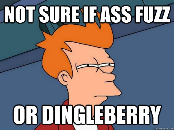 Not sure if ass fuzz Or dingleberry  Futurama Fry