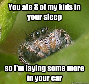 You ate 8 of my kids in your sleep so I'm laying some more in your ear  Misunderstood Spider