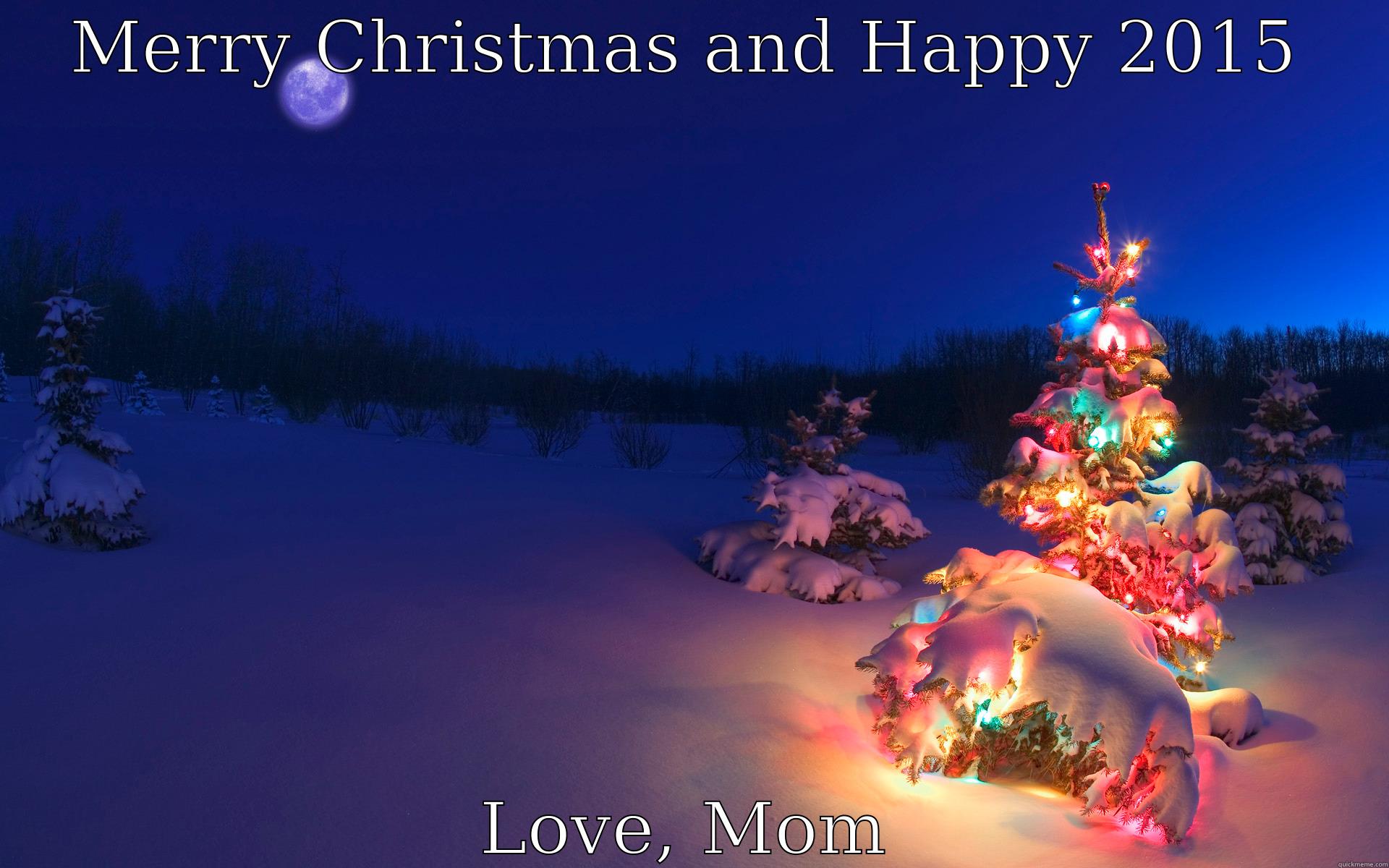 MERRY CHRISTMAS AND HAPPY 2015 LOVE, MOM Misc