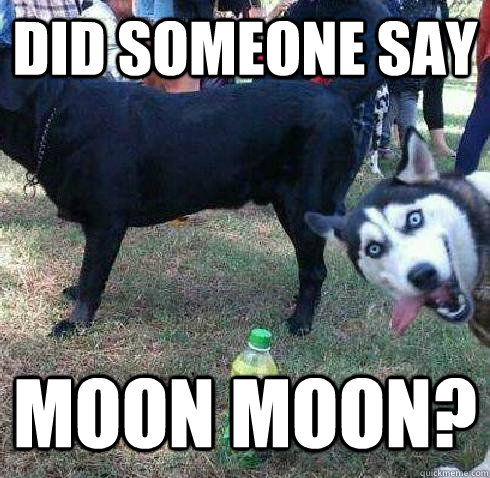 did someone say Moon Moon?  