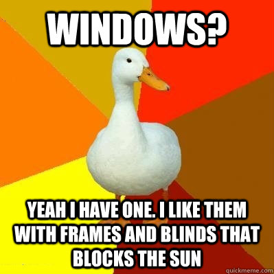 Windows? yeah i have one. I like them with frames and blinds that blocks the sun  Tech Impaired Duck